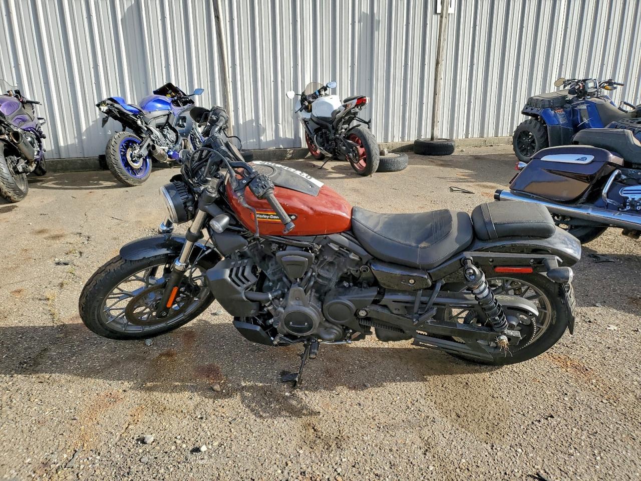 2024 Harley-Davidson Rh975 S - Фото 3