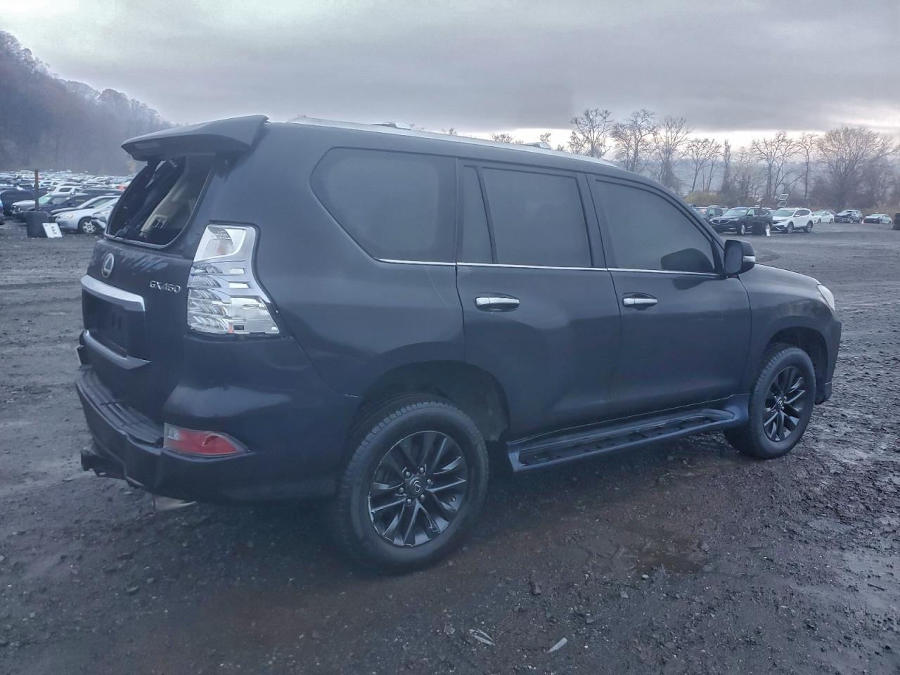 2023 Lexus Gx 460 - Фото 3