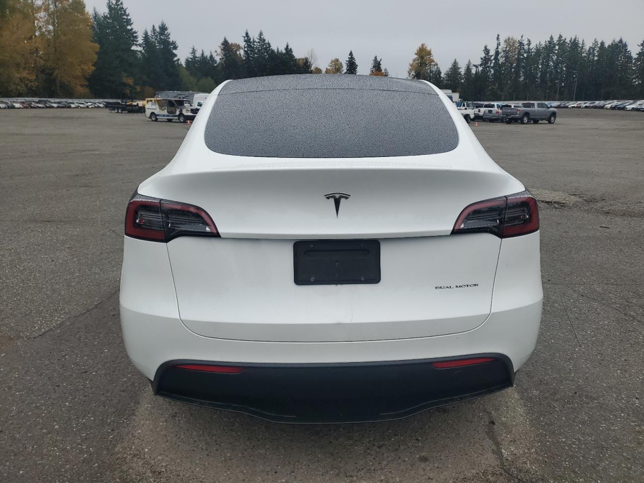 2024 Tesla Model Y - Image 6