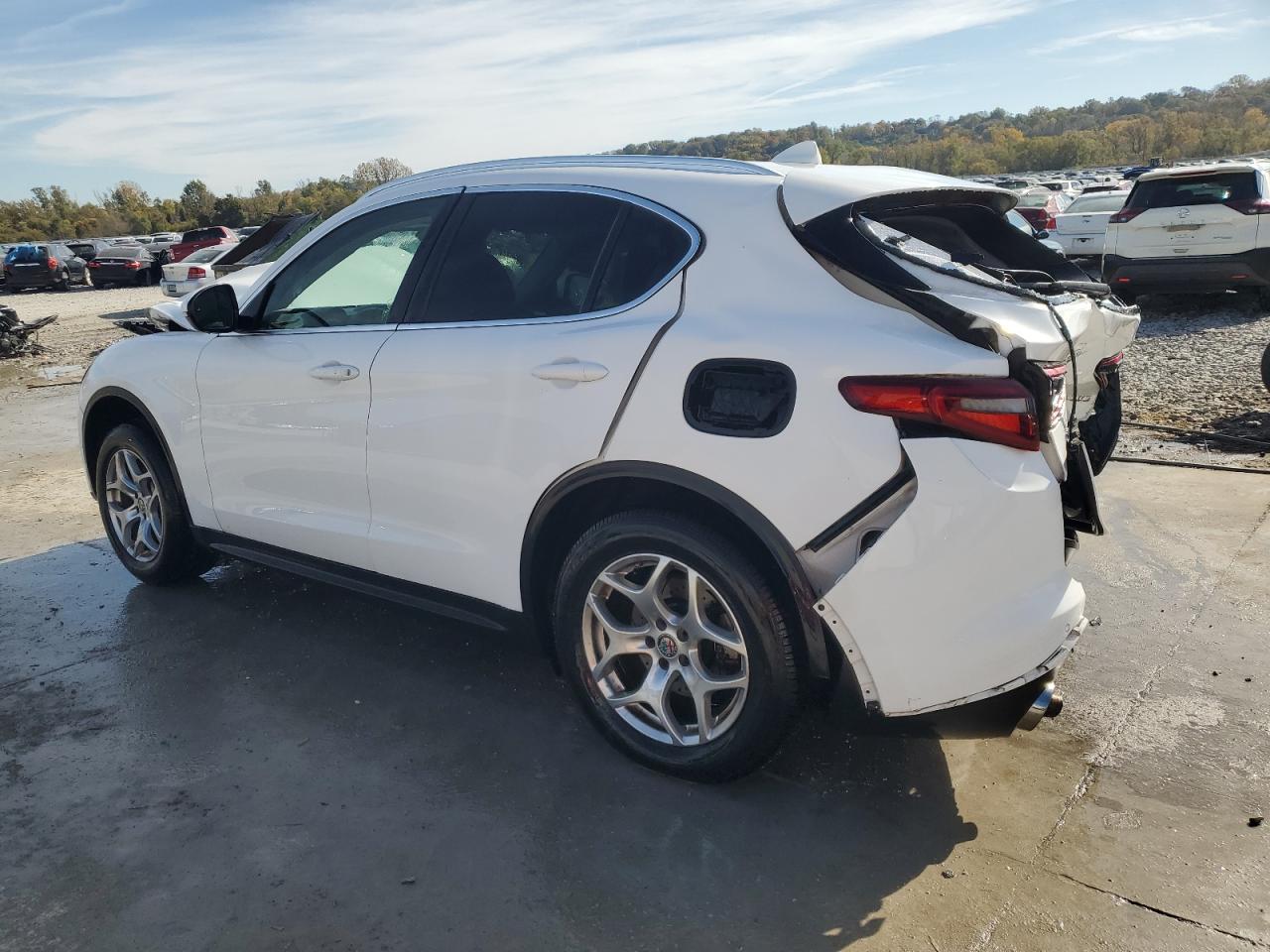 2018 Alfa Romeo Stelvio - Image 2