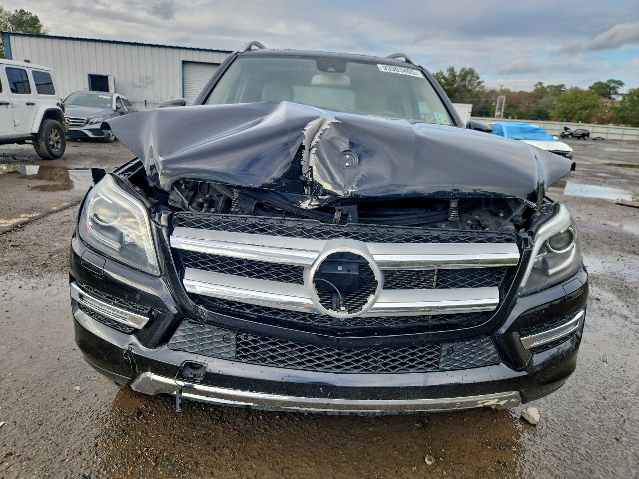 2015 Mercedes-Benz Gl 450 4Matic - Фото 5