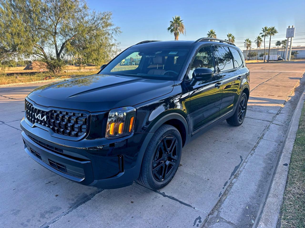 2025 Kia Telluride Ex - Image 2