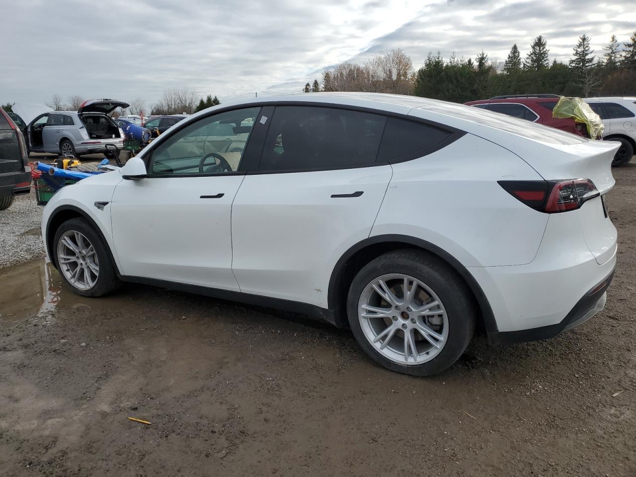 2023 Tesla Model Y - Фото 2