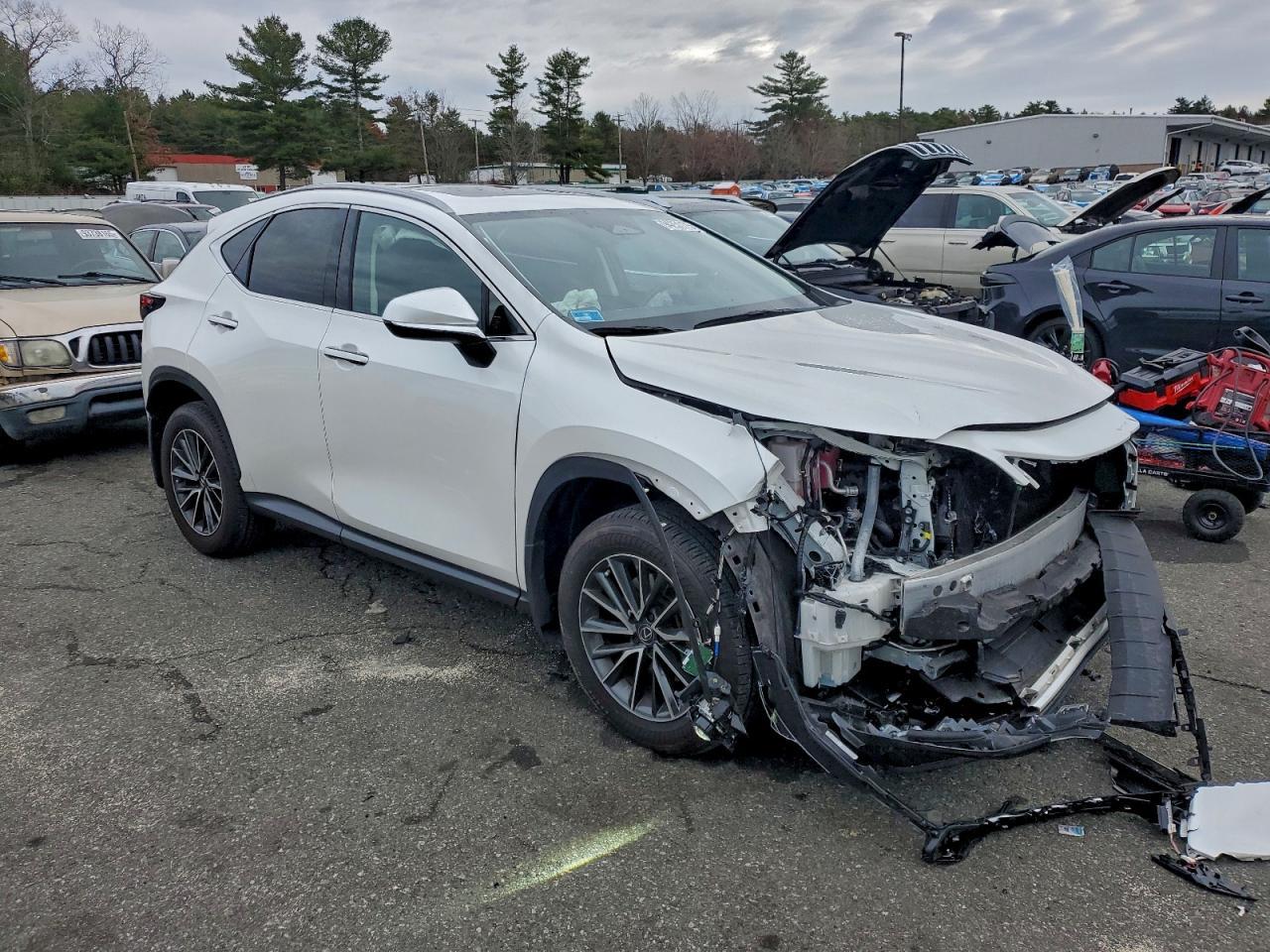 2024 Lexus Nx 350 Base - Фото 4