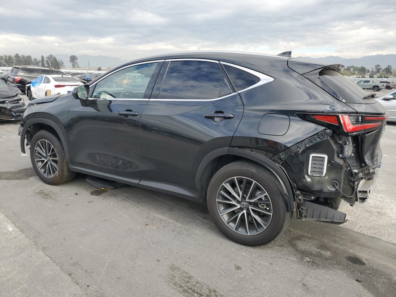2024 Lexus Nx 350H Base - Фото 2