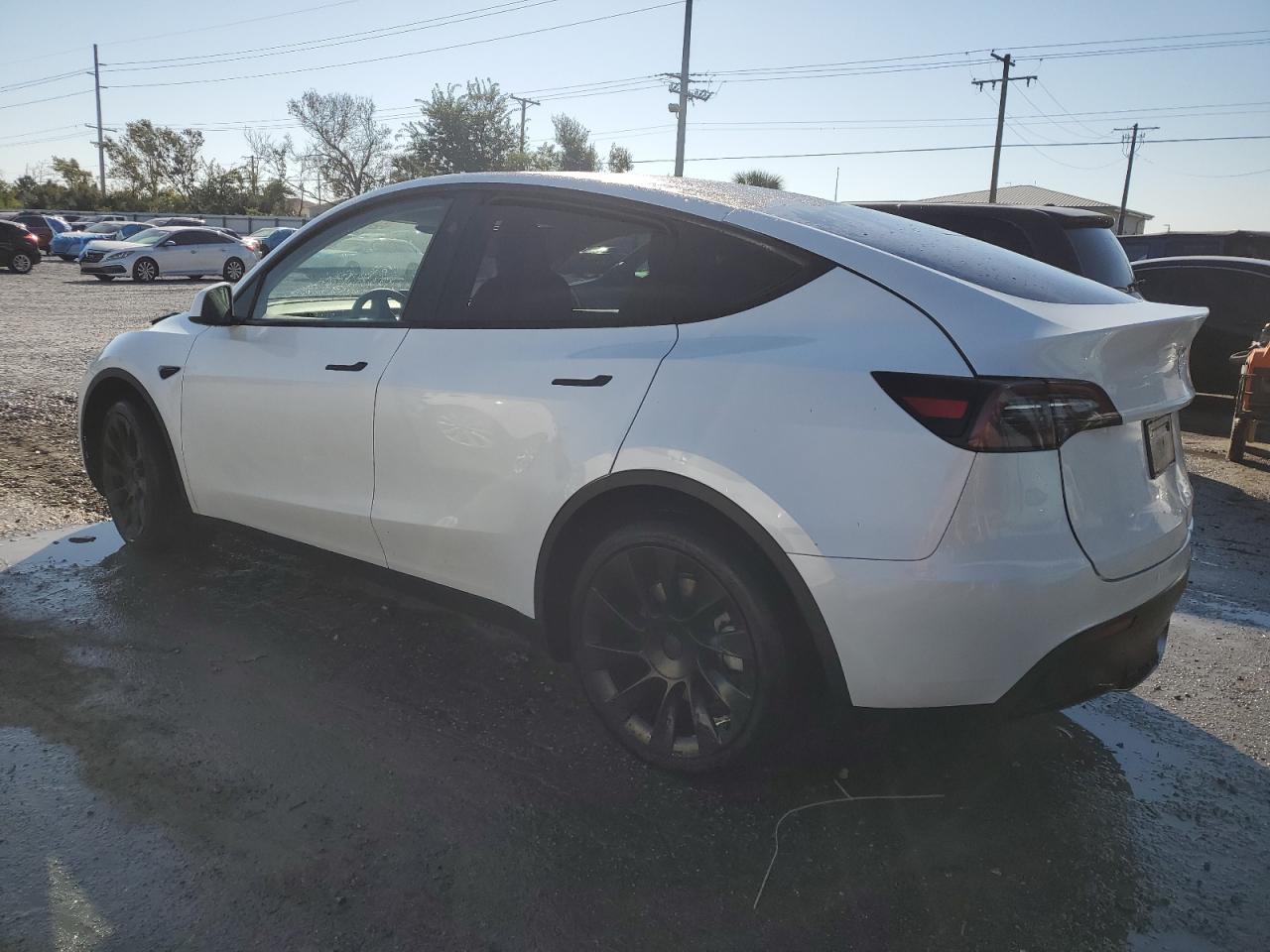2024 Tesla Model Y - Image 2