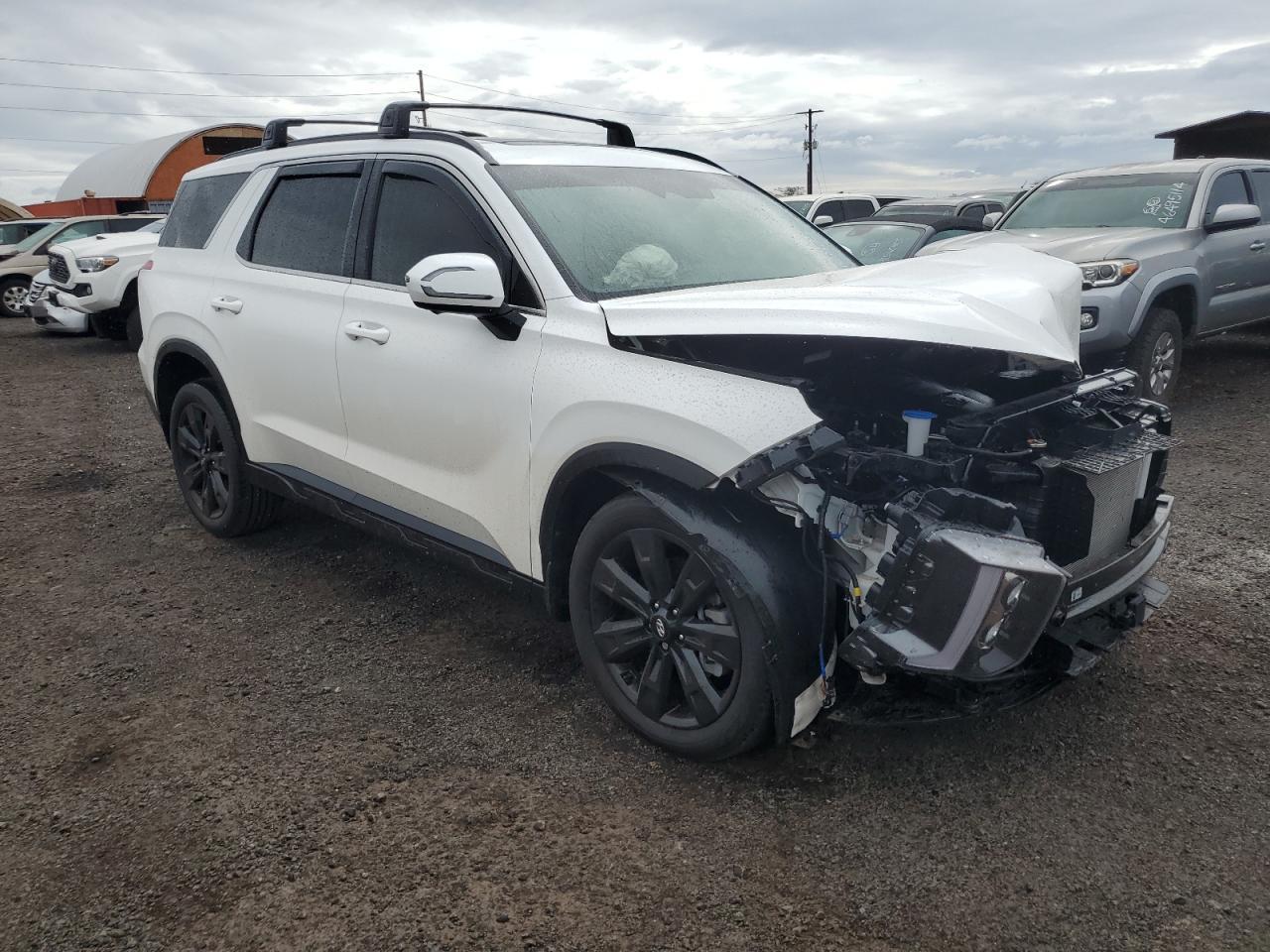 2025 Hyundai Palisade Xrt - Image 4