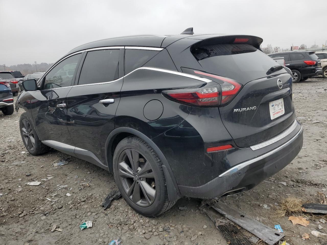 2020 Nissan Murano Platinum - Фото 2