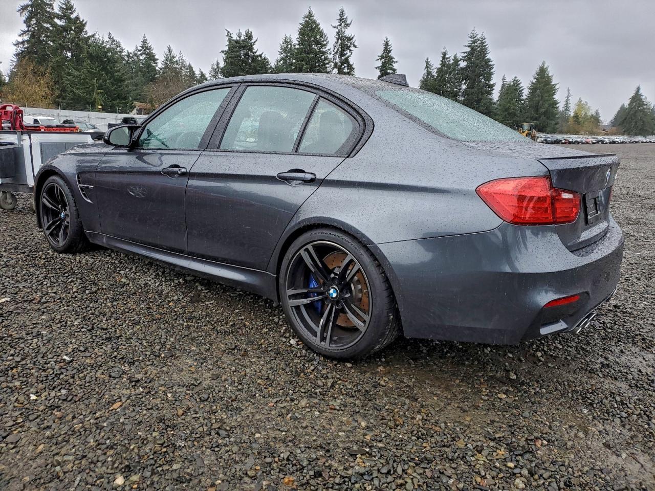 2015 BMW M3 - Фото 2