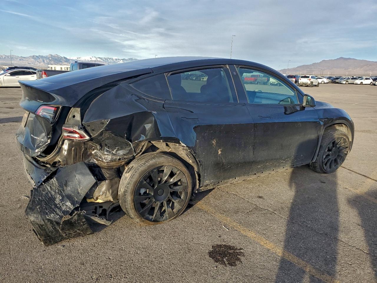 2022 Tesla Model Y - Фото 3