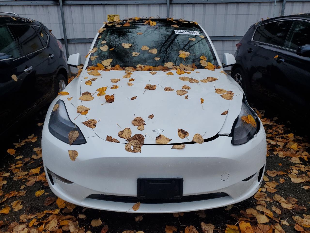 2024 Tesla Model Y - Image 5