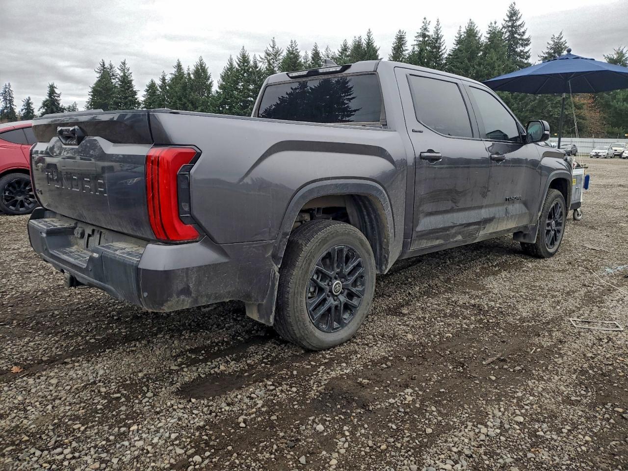 2024 Toyota Tundra Crewmax Limited - Фото 3
