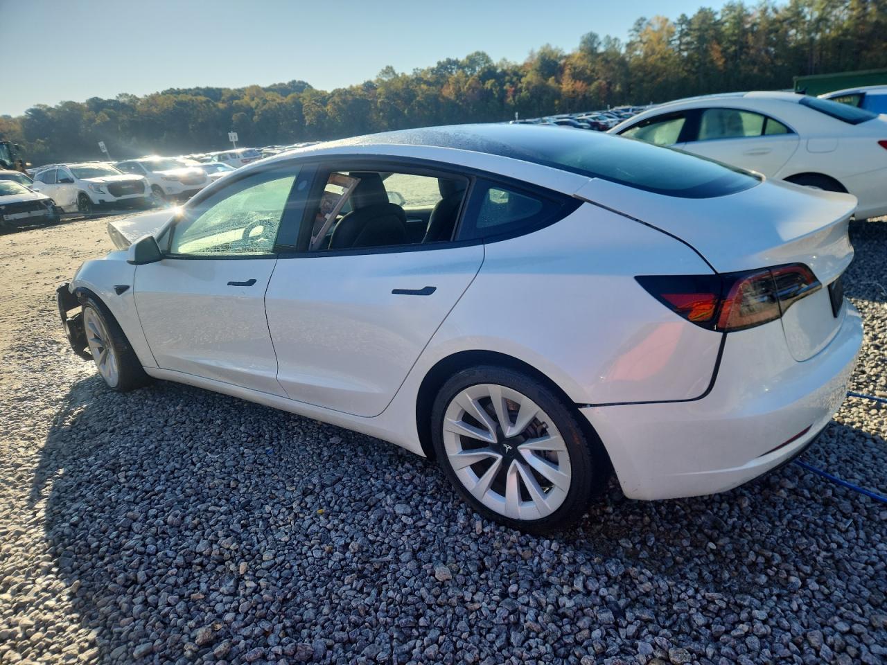 2023 Tesla Model 3 - Фото 2