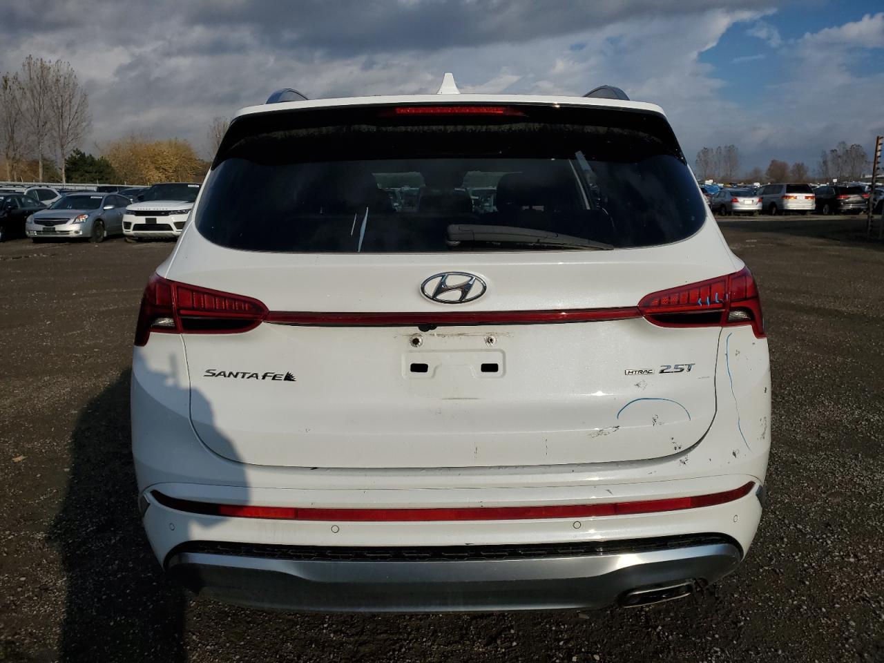 2021 Hyundai Santa Fe Calligraphy - Фото 6
