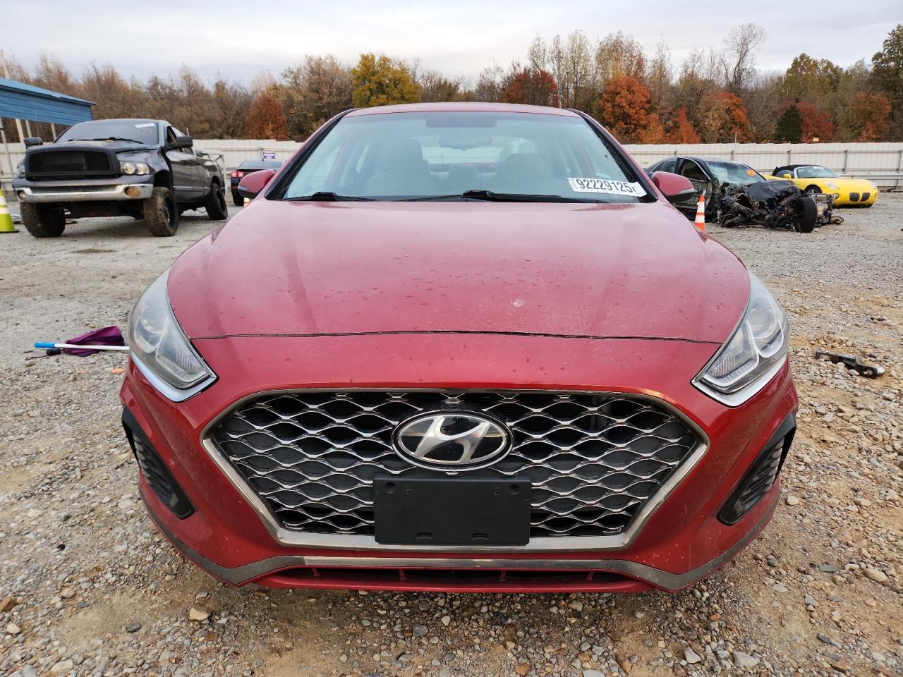 2019 Hyundai Sonata Limited - Фото 5