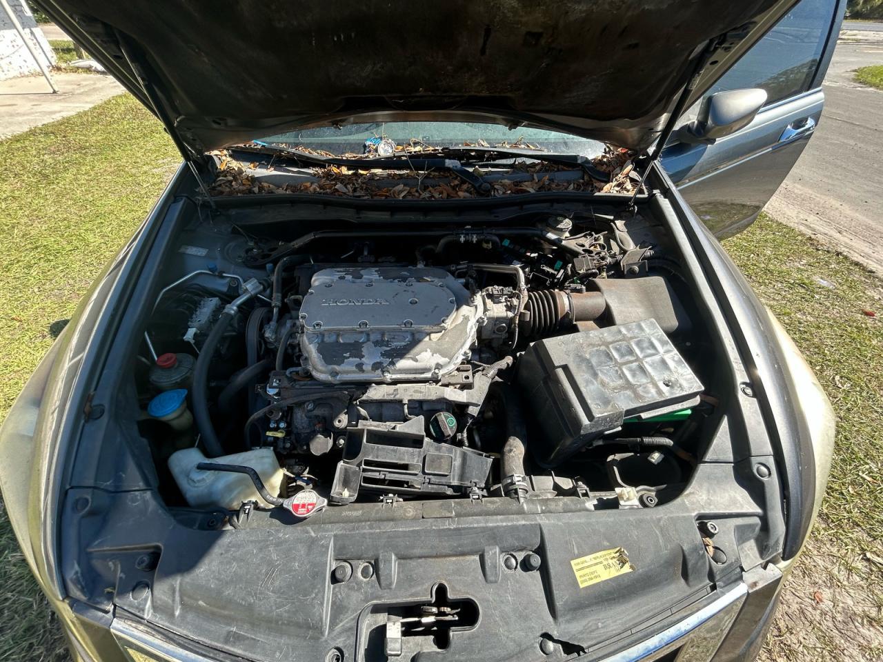 2008 Honda Accord Exl - Фото 7