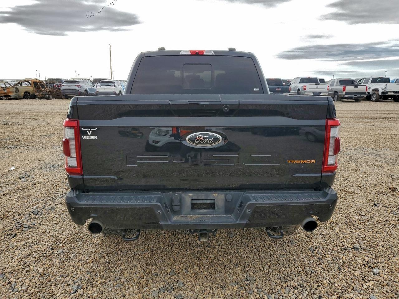 2022 Ford F150 Supercrew - Фото 6