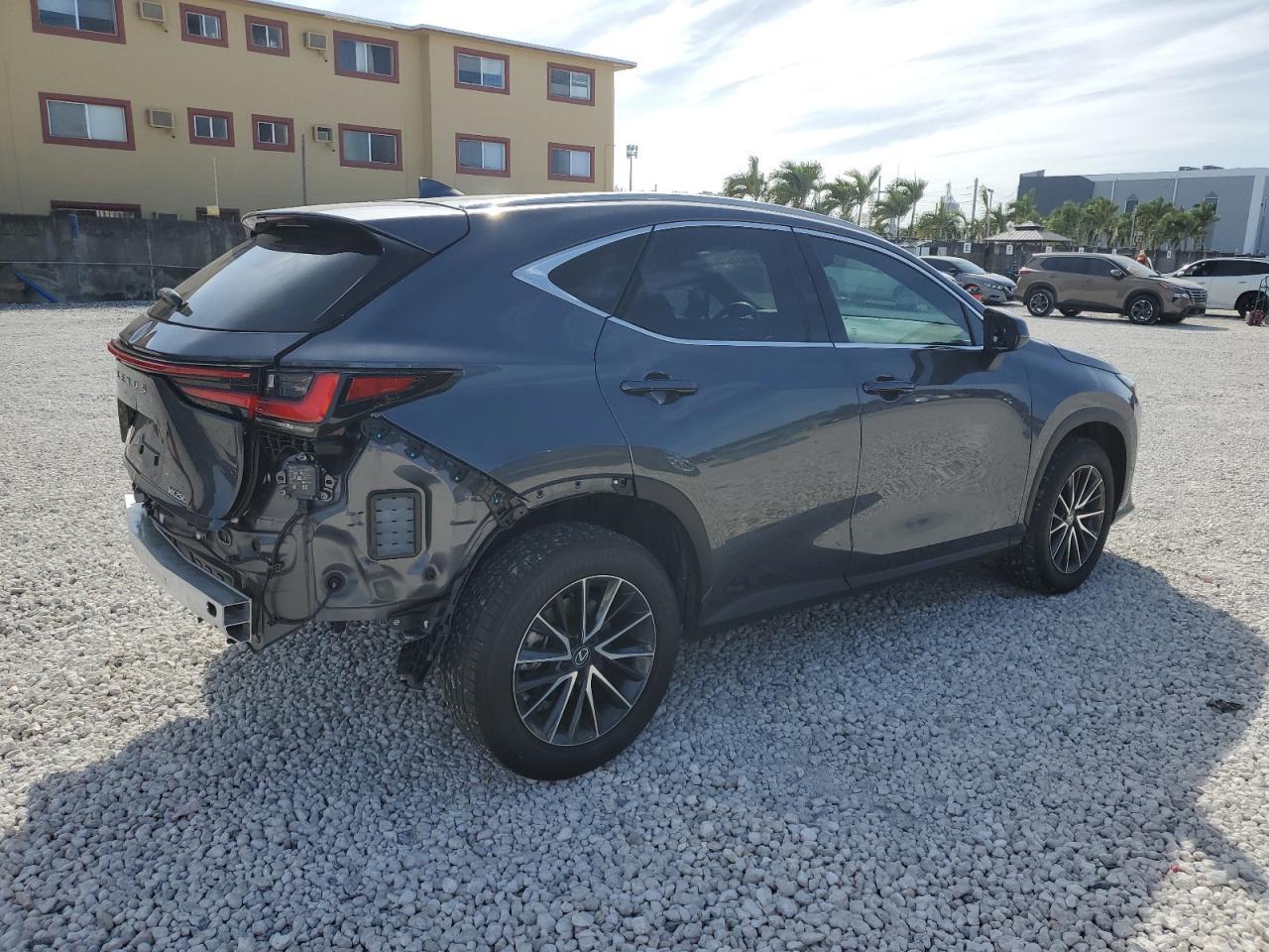 2024 Lexus Nx 250 Base - Фото 3