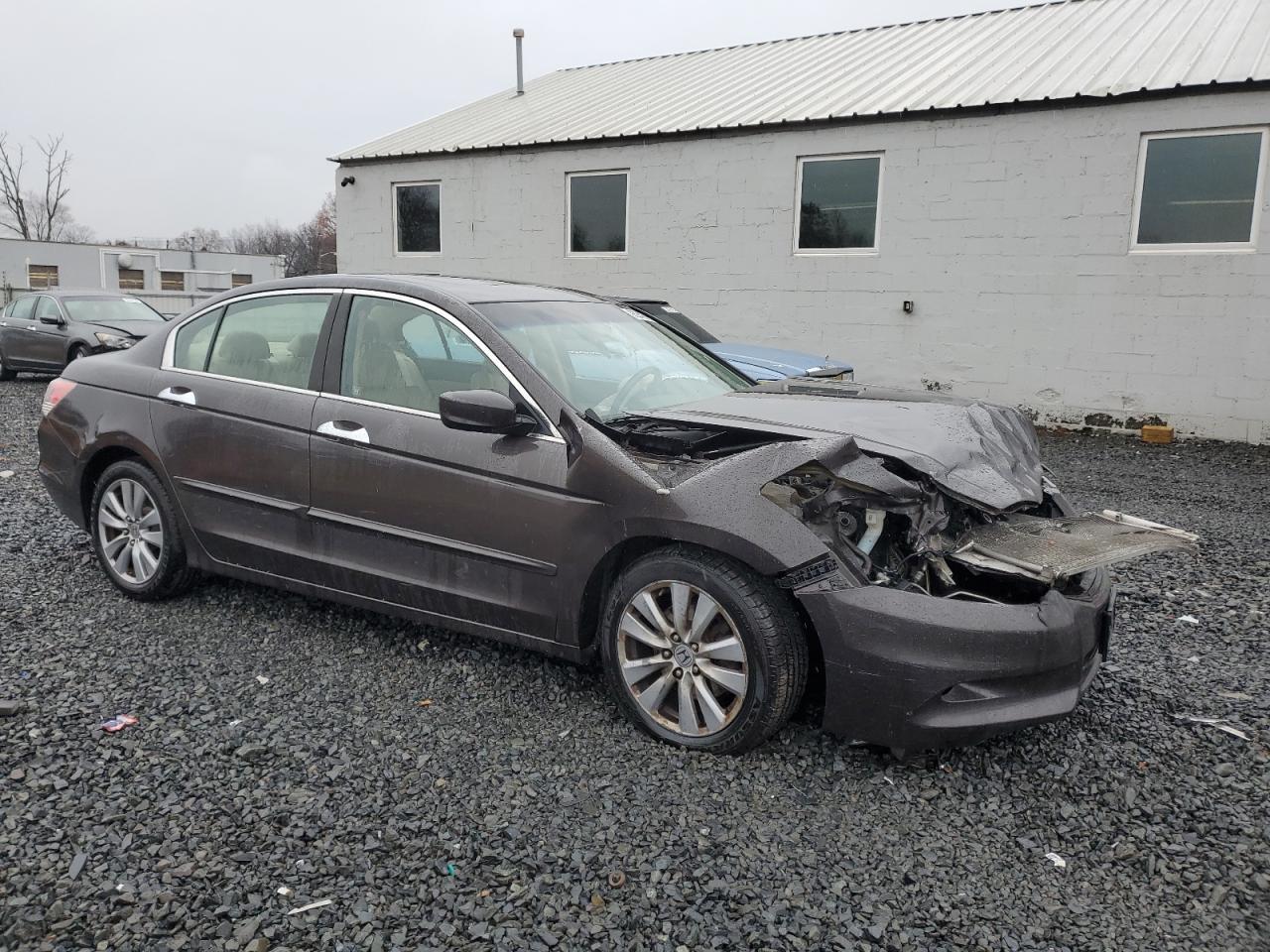 2011 Honda Accord Exl - Фото 4