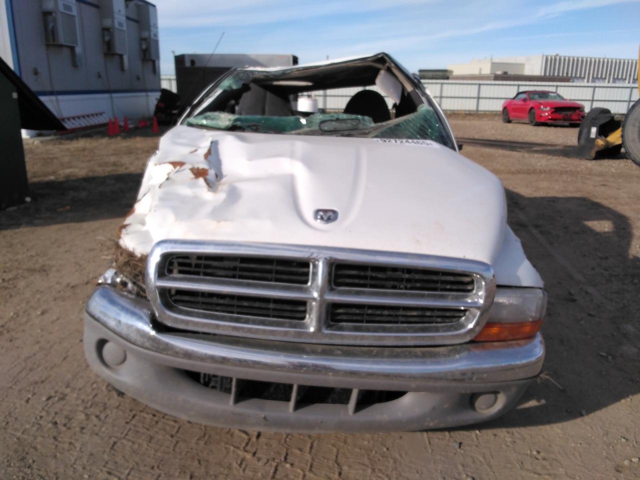 1998 Dodge Dakota - Image 5