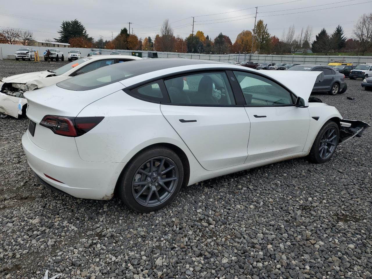2021 Tesla Model 3 - Фото 3