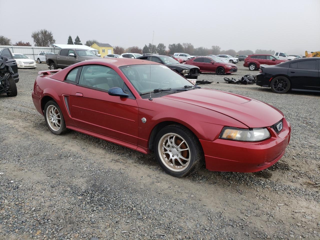 2004 Ford Mustang - Фото 4