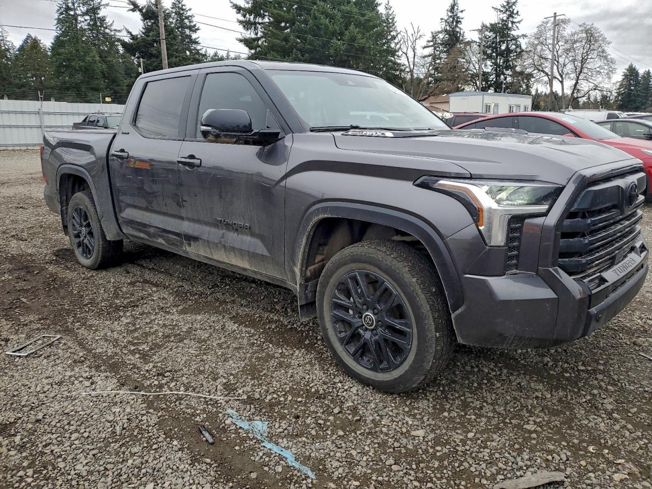 2024 Toyota Tundra Crewmax Limited - Фото 4