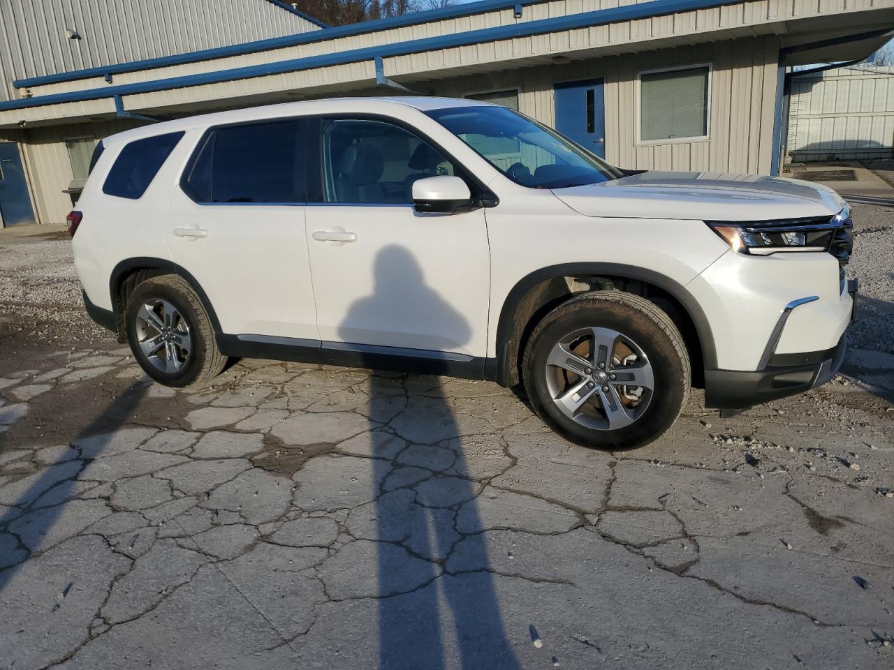 2025 Honda Pilot Exl - Image 4