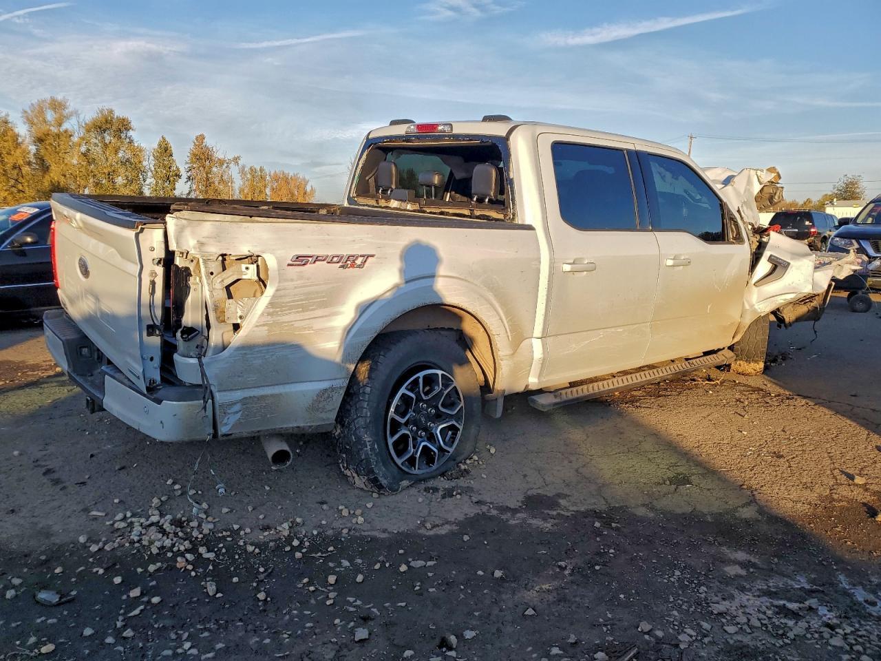 2021 Ford F150 Supercrew - Фото 3