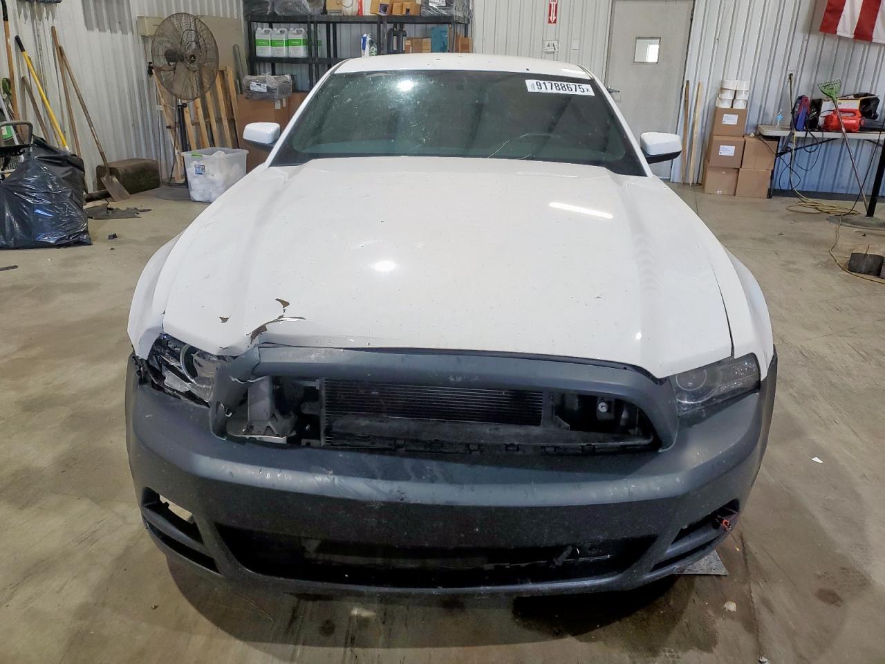 2013 Ford Mustang - Фото 5