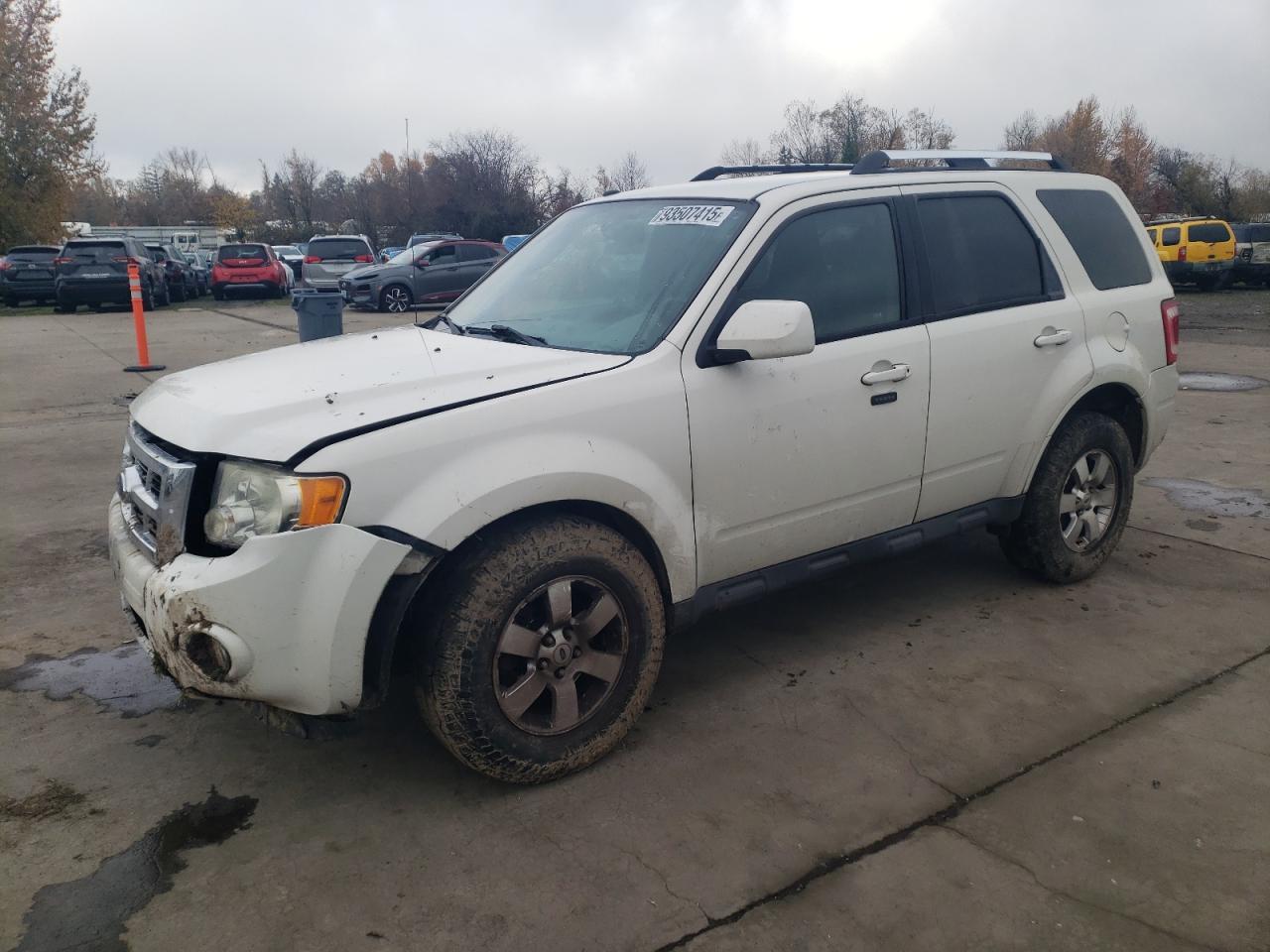 2009 Ford Escape Limited