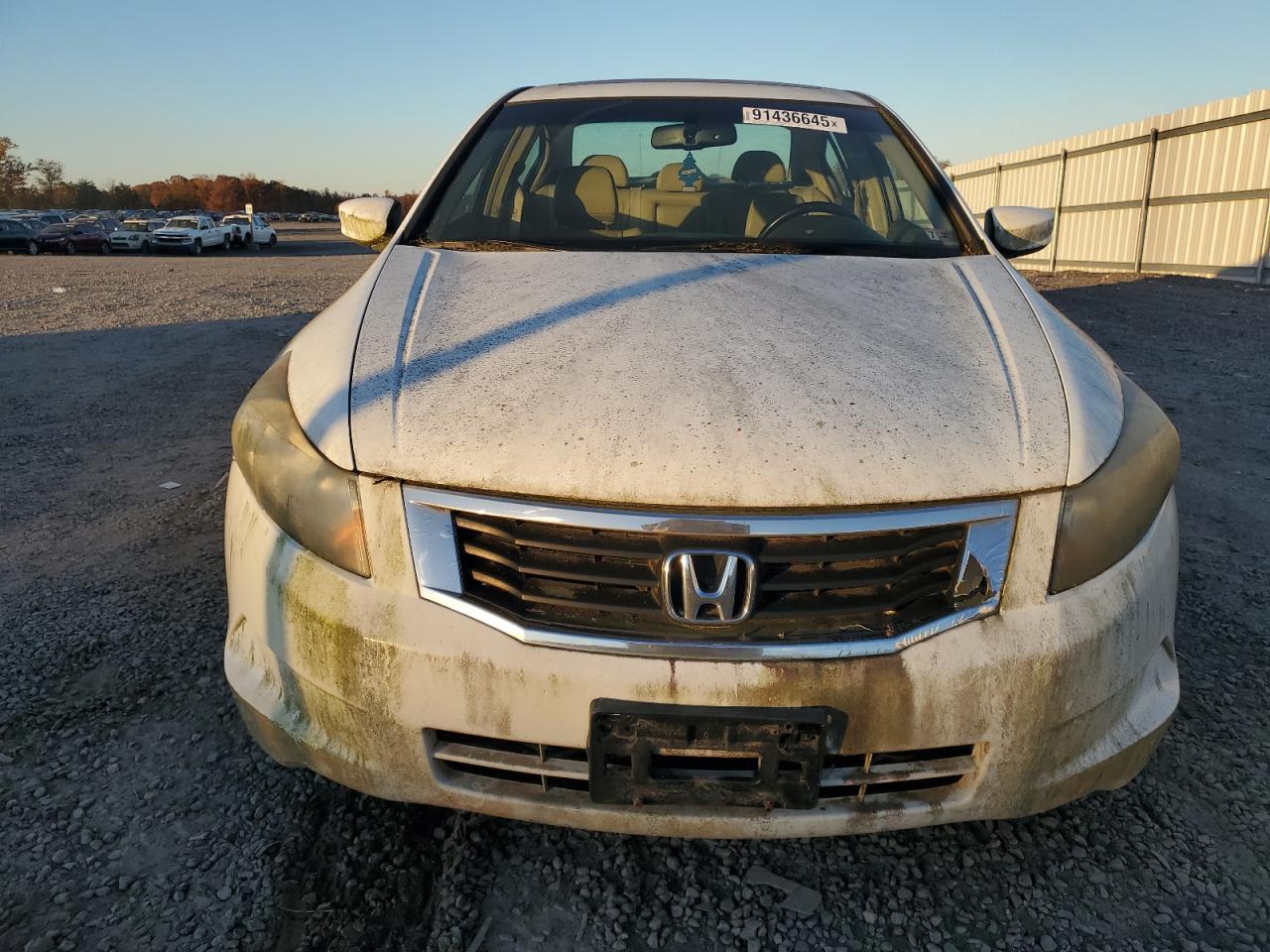 2008 Honda Accord Exl - Image 5