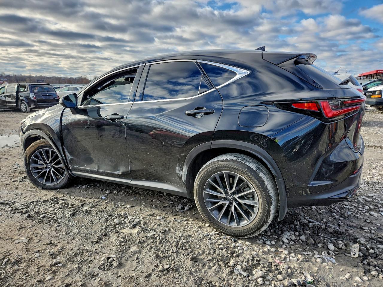 2024 Lexus Nx 350 Premium - Фото 2