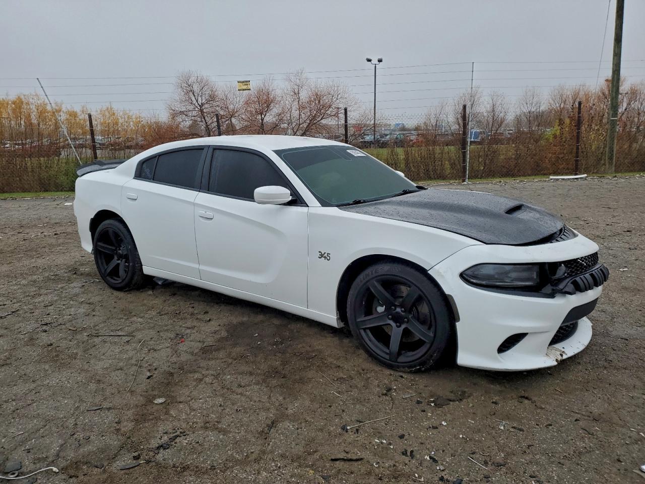 2018 Dodge Charger Police - Фото 4