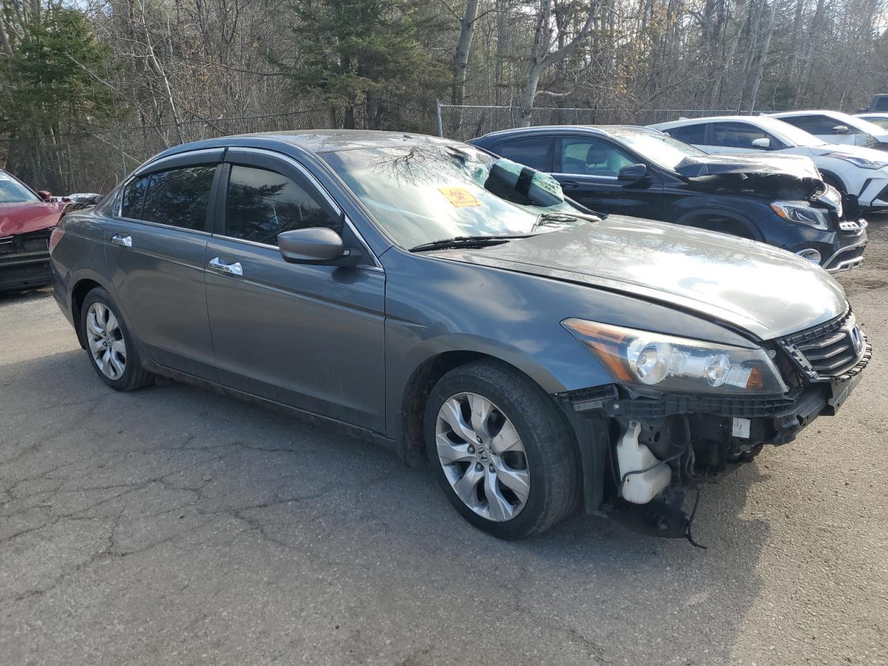 2009 Honda Accord Exl - Фото 4