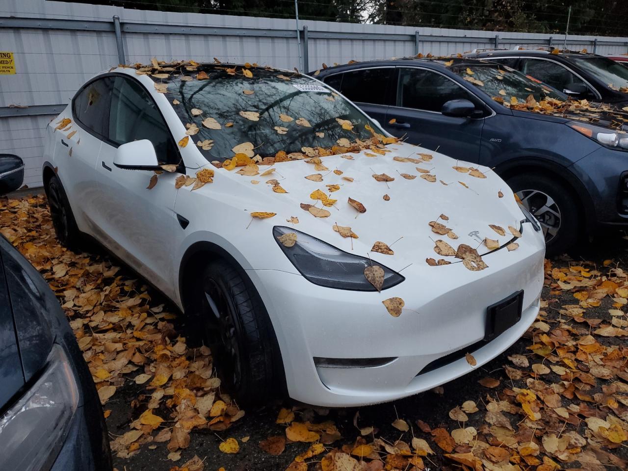 2024 Tesla Model Y - Image 4