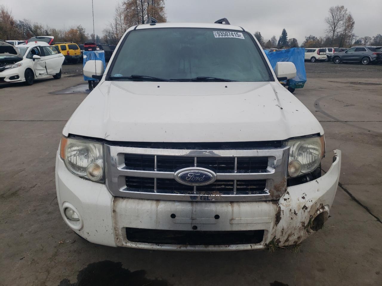 2009 Ford Escape Limited - Фото 5