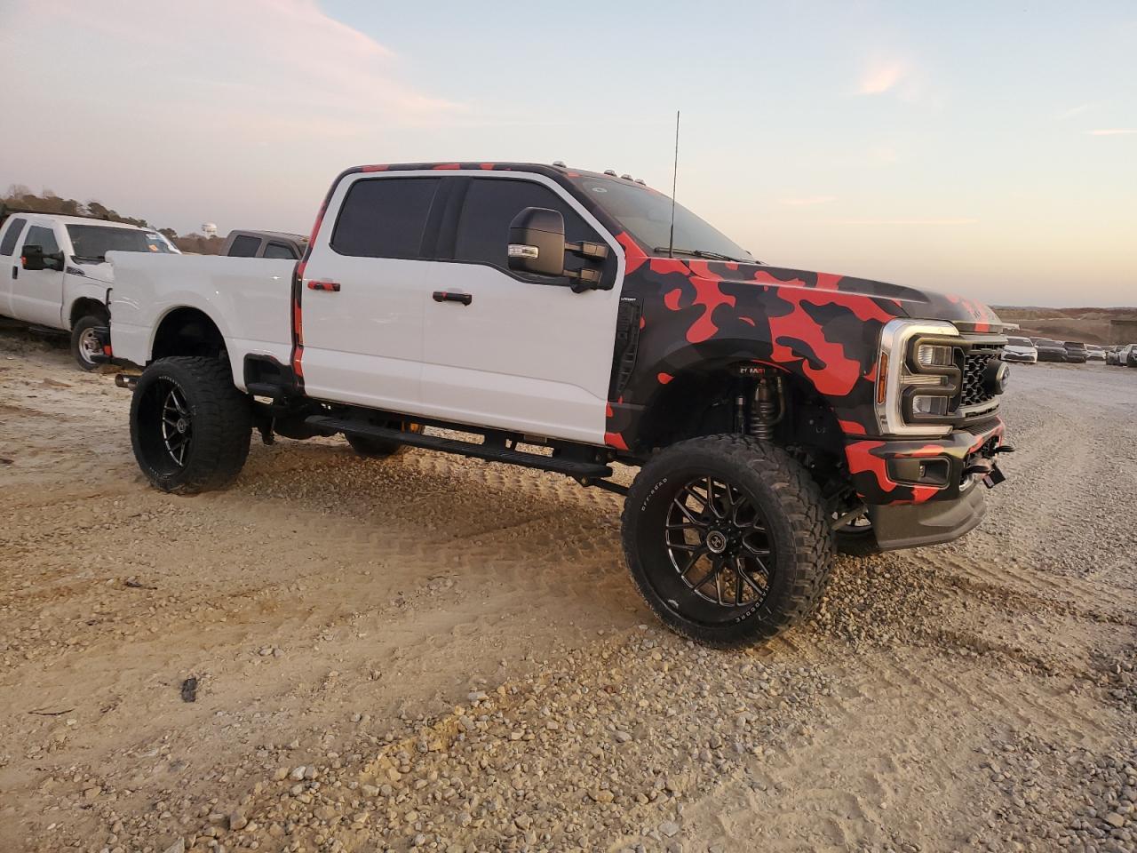 2024 Ford Super Duty F-250 W/S - Фото 4