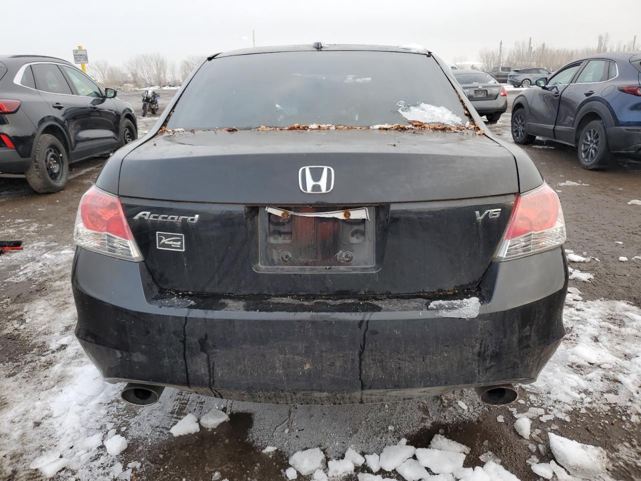2010 Honda Accord Exl - Image 6
