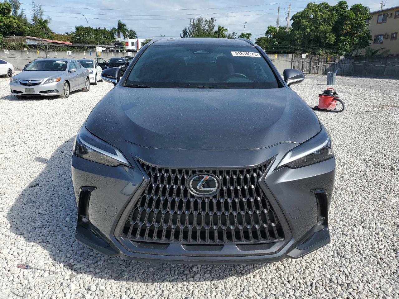 2024 Lexus Nx 250 Base - Фото 5