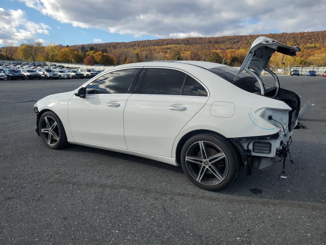 2021 Mercedes-Benz A 220 4Matic - Фото 2