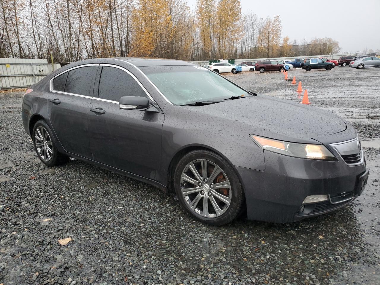 2014 Acura Tl Se - Фото 4