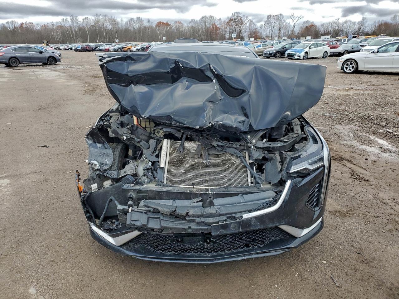 2021 Cadillac Ct4 Sport - Фото 5