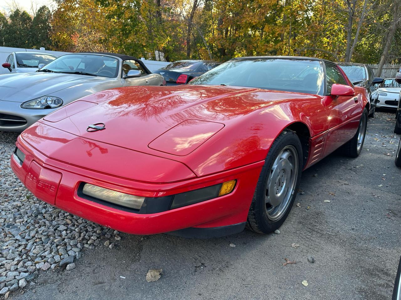 1994 Chevrolet Corvette - Фото 2