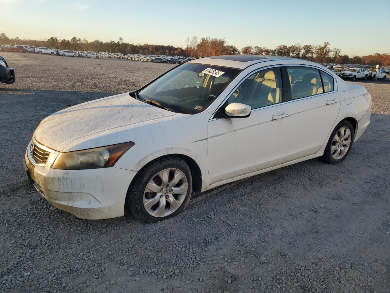 2008 Honda Accord Exl