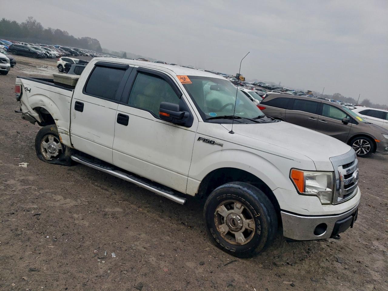 2010 Ford F150 Supercrew - Фото 4