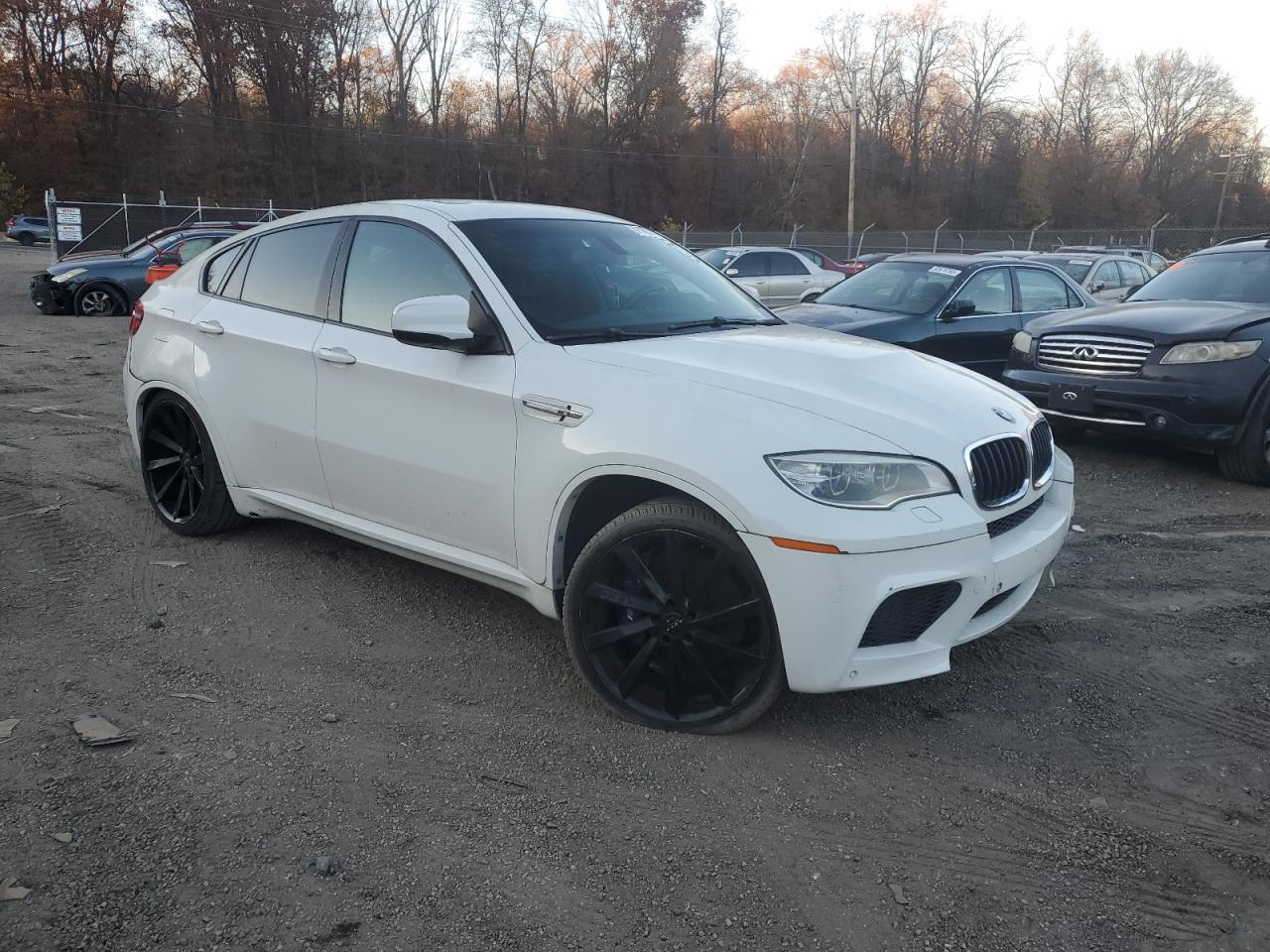 2014 BMW X6 M - Фото 4