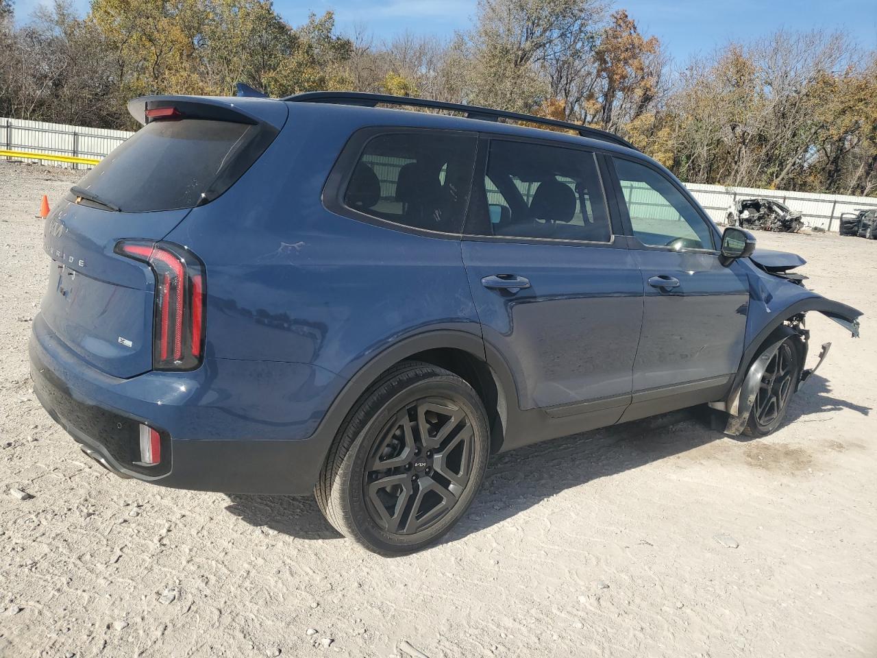 2024 Kia Telluride Sx - Фото 3