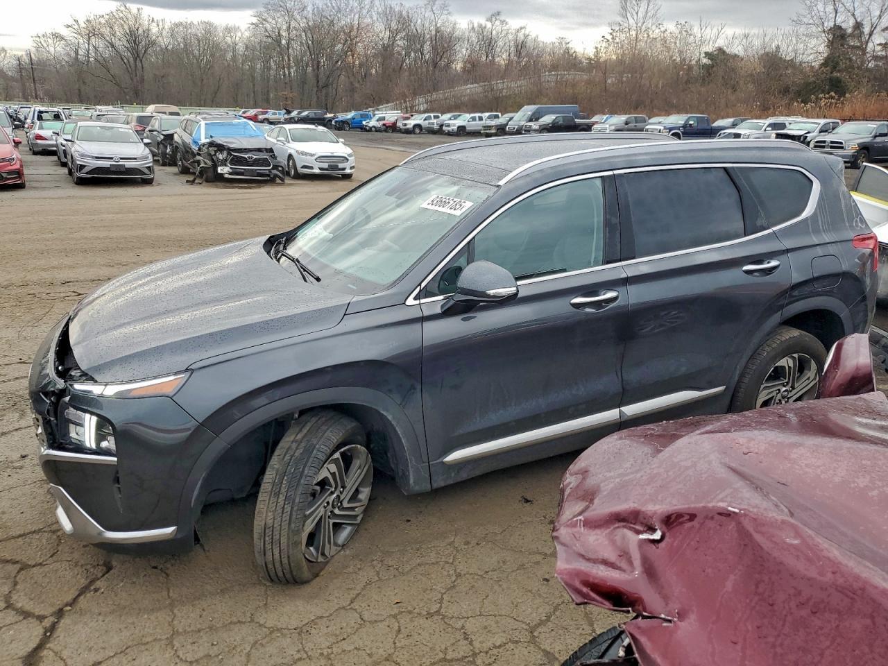 2023 Hyundai Santa Fe Sel Premium