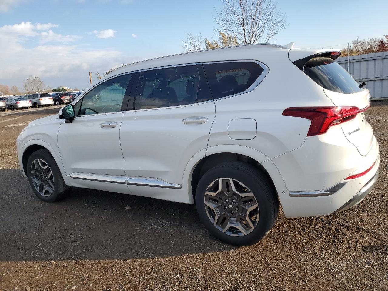2021 Hyundai Santa Fe Calligraphy - Фото 2